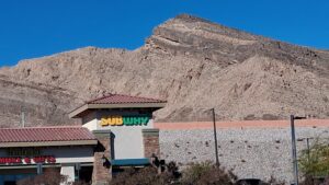 SUBWAY SANDWICH STORE #40890-0